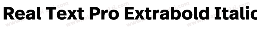 Real Text Pro Extrabold Italic字体转换